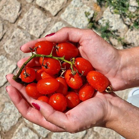 Horta Das Laranjas Serpa Dış mekan fotoğraf