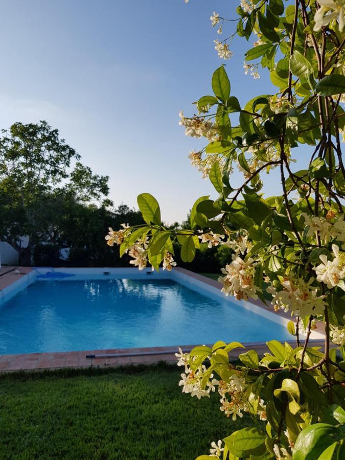 Horta Das Laranjas Serpa Dış mekan fotoğraf