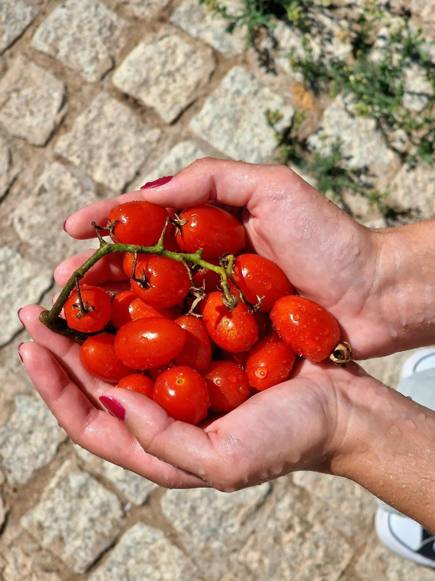Horta Das Laranjas Serpa Dış mekan fotoğraf